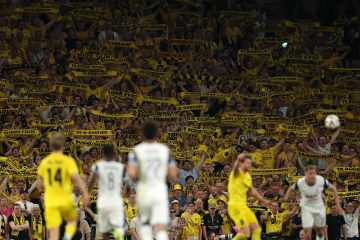 Bodo/Glimt