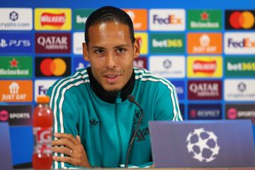 Dijk