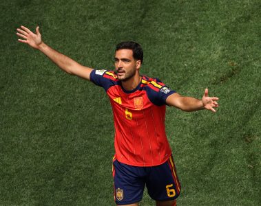 Merino